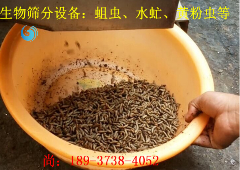 蛆虫筛选3层好色先生官网下载